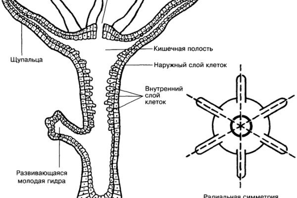 Кракен короткая ссылка